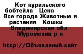 Кот курильского бобтейла › Цена ­ 5 000 - Все города Животные и растения » Кошки   . Владимирская обл.,Муромский р-н